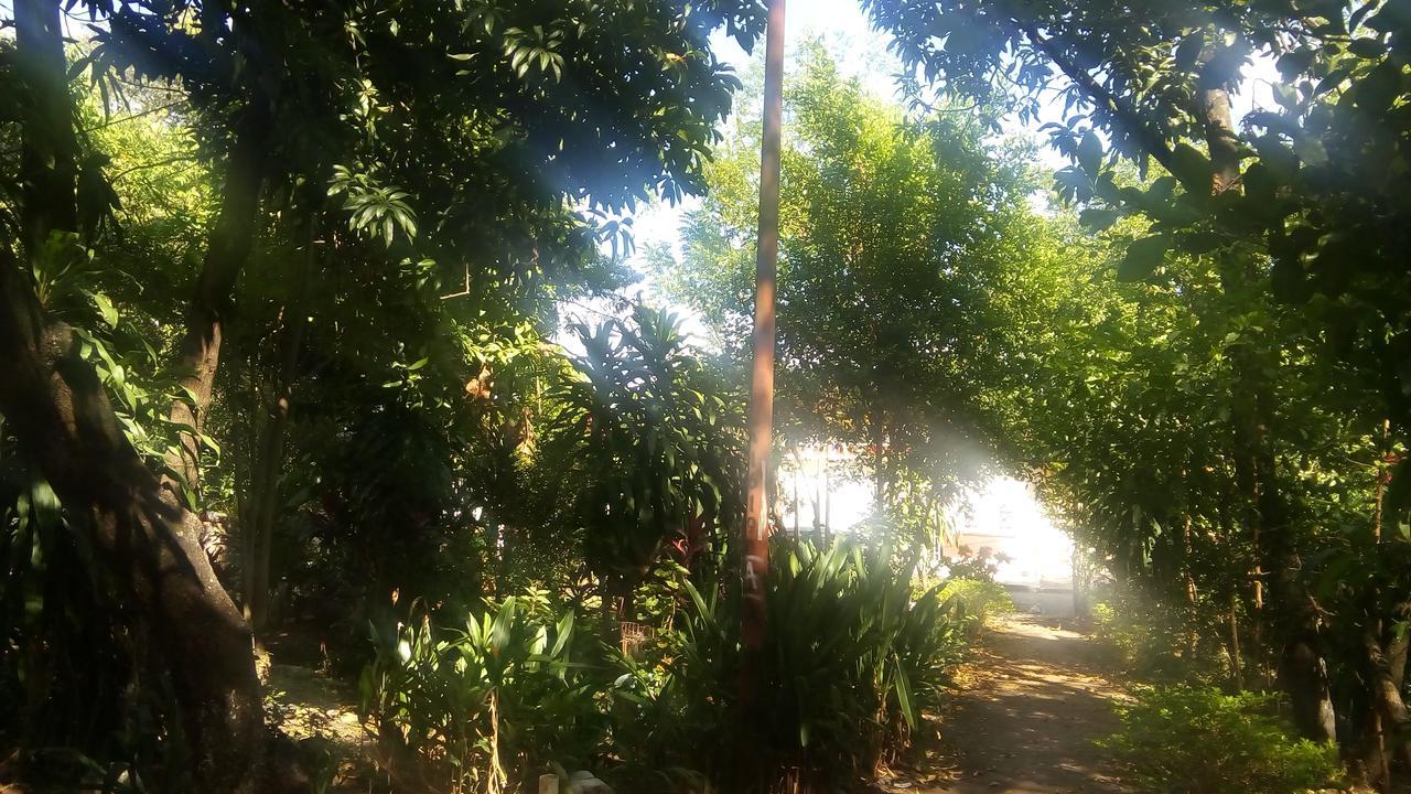 Backpackers And Travellers Hostel Neiva  Exterior photo